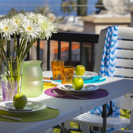 Olive * Protaras